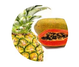 Socri Lessonia ENZYMATIC PEELING POWDER MASK papaya pineapple